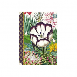 Carnet mots de passe...