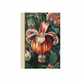 Carnet mots de passe...