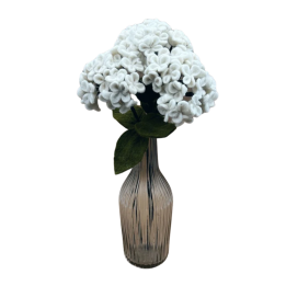 Hortensia blanc