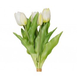 Bouquet de tulipes