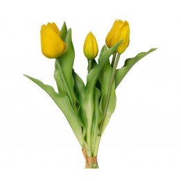 Bouquet de tulipes