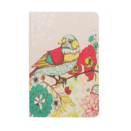 Carnet d'oiseaux