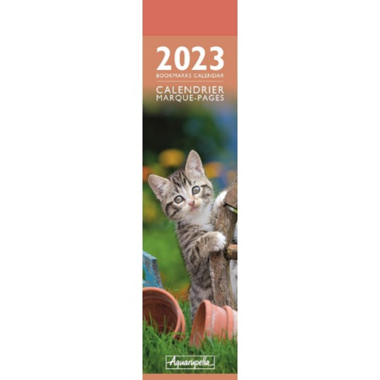 Calendrier 2023 marque-pages "L'Amazone"